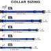 Personalized Large Dog Collar -Reflective Nylon with Pet Name & Phone Number - Tagme King Blue | 1 Pack - Buy Online on GoSupps.com