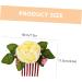 Housoutil Flower Hair Fork Clip Hair Accessories for Women Rainbow Pencil Holder Floral Bridal Hair Clip Fashion Headpiece Hair Side Clips for Women Comb Plastic Wedding Vacation - Buy Online on GoSupps.com