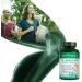 Purity Products H.A. Joint and Skin Super Formula - 90 Capsules - Supports Joint Flexibility, Synovial Fluid, and Hyaluronic Acid - With Biocell Collagen and 5-Loxin - Buy Online on GoSupps.com
