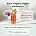 PLANT Vegan Collagen Peptide Kombucha Powder Probioitics Vitamin C | 2000mg Tripeptide Vegetarian Collagen Booster Dragonfruit Lime |15 Packets Gut & Skin Health Anti-Aging Hydration Drink Mix Dragonfruit 4.76 Ounce (P  - Buy Online on GoSupps.com