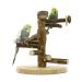 WishesMar Budgie Playground Bird Playground for Cockatiels Parrots Budgies Wood Size 24.5x22x22 cm Wood 004