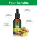 Ginger Hair Growth Serum - Stronger, Thicker, Longer Hair - Thinning Treatment - 3 Pack 30ML - Buy Online on GoSupps.com