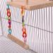 Wooden Bird Perch Play Gym with Swing & Ferris Wheel for Parrots, Lovebirds, Chinchillas - Green Cheeks, Hamsters, Budgies - Chew Toys & Exercise Stands - Buy Online on GoSupps.com