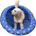 Ginkago Pool Floats for Dogs Pool Toys Pool Float for Large Dogs Pool Floaties for Small Puppy Swimming Blue - Buy Online on GoSupps.com