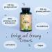Ginkgo Biloba & Panax Ginseng Capsules | 12000mg Ginkgo & 2000mg Korean Red Ginseng Extracts | Lab-Tested, Additive-Free | 120 Capsules (4 Months Supply) | Vegan-Friendly - Buy Online on GoSupps.com