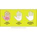 Lemyn Organics 97% Organic Medical Grade Hand Sanitizer Gel - 8 fl. oz. (Pack of 6) with Pump - Best for Clean & Hygienic Hands - Buy Online on GoSupps.com