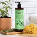 Rosemary & Mint Shampoo 480ml - Nourishing Herbal Cleanser for Healthy Hair | International Shipping - Buy Online on GoSupps.com