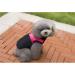 Ectkuee XL Rose Winter Warm Waterproof Dog Coat - Quilted Padded Puffer Jacket for Small Pets | Shop Internationally - Buy Online on GoSupps.com