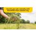 Shorefields Small Compact Meadow Hay Bagged 10kg - Buy Online on GoSupps.com
