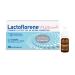 LACTOFLORENE LACTOFLORENE Plus Bimbi Lactic Acid Bacteria Probiotics Gluten Free Lactose Free - Children's Supplements with Probiotics Zinc Vitamin B for balanced intestinal flora (12 bottles)