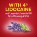 Aspercreme Max Strength Pain Relief Liquid - 4% Lidocaine with Lavender Oil 2.5 fl oz - Buy Online on GoSupps.com