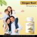 Mysurty Ginger Root Extract | Ginger Root Supplement | Ginger Capsules 1000mg | Capsules for Men & Women - 60 Capsules (Pack 1) - Buy Online on GoSupps.com