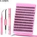 Laluerck DIY Lash Extensions Kit with D Curl Lash Clusters Lash and Seal Lash Applicator for Self Application at Home 8 To 15mix - Buy Online on GoSupps.com