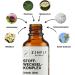 Zimply Natural Metabolism Complex Spray - Vegan Gentle Support for Your Metabolism 30ml - Buy Online on GoSupps.com