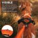 Non-stop dogwear Freemotion Harness 5.0 | Versatile Dog Harness for Sports | Size 4 Black/Orange International Shipping Available - Buy Online on GoSupps.com