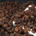 Organic Raisins - 500g. Dehydrated and Dried Raisins without Added Sugars. To be consumed with Snacks or Sweets. - Buy Online on GoSupps.com
