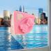 QTYUERGK Magnetic Window Cleaner Tool/Indoor And Outdoor Glass Pane Cleaning/Single Double Or Tripled Glazed Cleaners - Buy Online on GoSupps.com