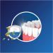 Fixodent Pro Plus La Meilleure Technologie Anti-Particules Cr me Adh sive Pour Proth ses Dentaires 40G - Buy Online on GoSupps.com