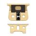 Andis 74110 GTX-EXO Cordless GTX-Z Replacement Blade - Gold | Premium Hair Clipper Blade for Smooth Performance | International Shipping Available - Buy Online on GoSupps.com