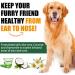 Buy GJYC PET Big Ear Care Pads for Dogs - 120 Count Ear Towels for Dogs & Cats | Keep Your Pet's Ears Clean & Healthy - Buy Online on GoSupps.com