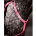 Equi-Flector Shires Breastplate - Pink: Cob/Full - Buy Online on GoSupps.com