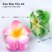 8pcs Flower Claw Clip Set - Cute Hawaiian Hair Clips for Women and Girls - Strong Hold Nonslip Design - Perfect Gift Idea - Buy Online on GoSupps.com