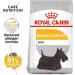 Dermacomfort Royal Royal Canine Mini 3kg 3000 g - Buy Online on GoSupps.com
