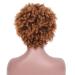 SHIYID Short Blonde Curly Synthetic Wig for Women - Heat Resistant Brown Kindy Curly Hair | Perfect African American Hair Solution - Buy Online on GoSupps.com