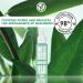 Yves Rocher Rebalancing Antioxidant Serum - Purify & Mattify Oily Skin with Salicylic Acid | 1 FL OZ - International Shipping Available - Buy Online on GoSupps.com