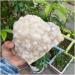 Natural Crystal Rough Original Natural Stone Feng Shui Home Decor Rock Crystal Cluster - Buy Online on GoSupps.com