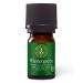 Aromatics International Premium Organic Wintergreen Essential Oil 5ml | 100% Pure Essential Oil for Diffusion & Aromatherapy Wintergreen 0.17 Fl Oz (Pack of 1)