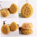 2pcs Honeycomb Bath Sponge Set | Exfoliating Shower Scrubber & Body Wash Supplies - International Shipping Available - Buy Online on GoSupps.com