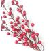 Zerodeko 7pcs Fake Red Berries Decorative Plants Plant Photography Props Flower Arrangements Home Plants Office Decoration Decor for Office Foam Fruit Plants Acacia Beans Long Branch - Buy Online on GoSupps.com