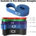 KK Resistance Bands - Pull Up & Stretch Workout Bands for Men and Women | Blue 45-115 lbs | Home Gym, Yoga, Physical Therapy - Buy Online on GoSupps.com