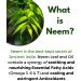 Neem Bark Capsules 400 mg Organic Fresh Ground Neem Bark Powder Grown in America 120 Count & Made in USA Vegan - Buy Online on GoSupps.com
