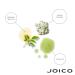 Joico Curls Like Us Smooth & Bounce Curl Hydrating Foam | For Curly Hair | Reduce Frizz | Enhance Curl Patterns | 72-Hour Humidity Protection | With Moringa Seed & Algae Oil | 6.7 Fl Oz - Buy Online on GoSupps.com