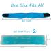 Reusable Face Ice Pack for TMJ Relief - Hot/Cold Gel Packs for Jaw, Head & Chin - Ideal for Oral/Facial Surgery & Dental Implants (Type B) - Buy Online on GoSupps.com