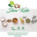 Shea Koko - Shea Butter + Cocoa Butter - 100% Natural - Organic Body Butter Biodegradable - West Africa - Shea Nuts Coconut Jojoba Rosehip & Avocado Oils - 350ml Body Moisturiser - Buy Online on GoSupps.com