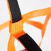 Shop PFIFF 102920 Joky Halter for Shetland Ponies | Nylon Orange No Fittings - International Shipping Available - Buy Online on GoSupps.com