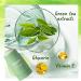 Holmey Green Tea Purifying Clay Stick Mask | Oil Control & Acne Relief | Deep Cleansing Solid Mask - Buy Online on GoSupps.com