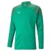 PUMA Men's Teamcup Training Jacket Cardigan M Pepper Green