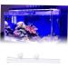 Balacoo Feeder Tube Shrimp Glass Tube Fish Tank Shrimp Tube Shrimp Feed Tube Aquarium Fish and Shrimp M Picture 1 - Buy Online on GoSupps.com