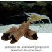 Buy Garpet Aquarium Decoration Cave Tube - Natural Wood Root Aquarium Decor - Buy Online on GoSupps.com