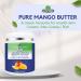 Burro di mango qualit cosmetica | Burro morbido non grasso per la cura della pelle fai da te cura dei capelli e formulazioni per la cura del corpo | Per creme balsami e balsami 500 g Mangue 500 g (Lot de 1) - Buy Online on GoSupps.com