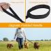 Vivifying 10m Black Nylon Long Line Dog Training Lead for Tracking and Obedience - Buy Online on GoSupps.com