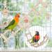 Bird Parrot Swing Toys - Chewing, Climbing, Hanging Perch & More for Small to Medium Birds - Buy Online on GoSupps.com