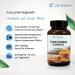 Life Solution Curcumin Capsules with Piperine - High Dosage Turmeric Supplement (120 Count) for Enhanced Absorption - Buy Internationally - Buy Online on GoSupps.com
