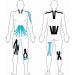 Effekt Waterproof Pre Cut Kinesiology Tape 10'' x 2'' - 25 Strips for Muscle Support & Injury Recovery - Blue + Black Belly Tape for Pregnancy - 50 Strips Included - Buy Online on GoSupps.com