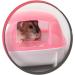 Bathing Sand for Hamsters, Gerbils, Chinchillas - Tiny Friends Farm Grooming Sand (2LB) - Buy Online on GoSupps.com