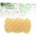minkissy Sponge Bath Sponge Body Sponge Facial Sponge Plant Cleaning Supplies - Buy Online on GoSupps.com